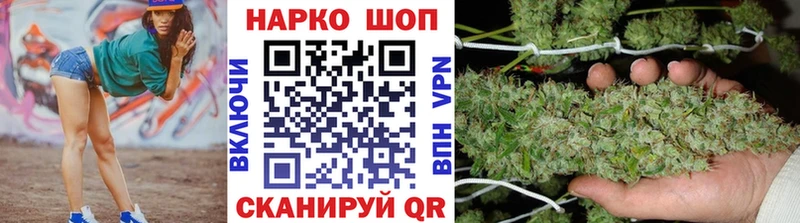 А ПВП Купино