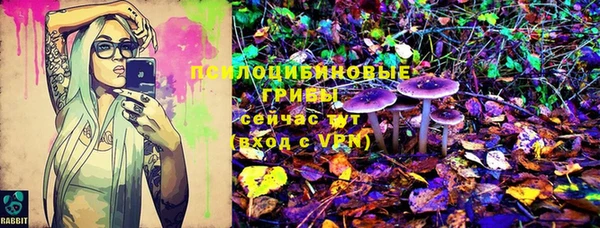 соль ск Гусь-Хрустальный