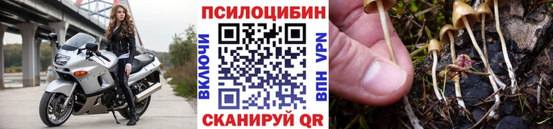 Псилоцибиновые грибы Psilocybine cubensis  Купить где  Купино 