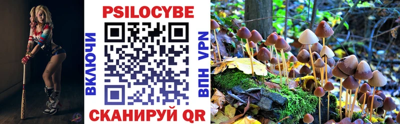 Псилоцибиновые грибы Cubensis Купино